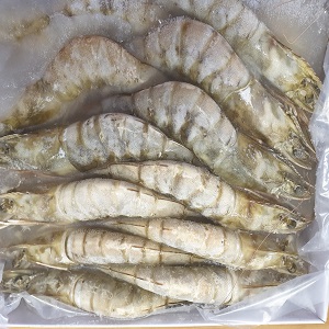 Frozen Prawns 21/25 (800g Block)