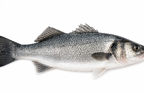 Seabass Whole  (2 fillets)