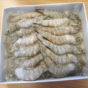 Frozen Prawns 16/20 – (800g Block)